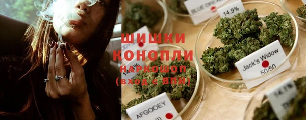 мдпв Михайлов