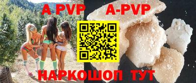 прущие крисы Кингисепп