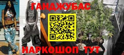 шишки Гусиноозёрск