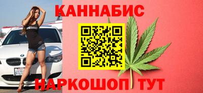 стаф Гай