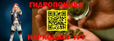 прущие крисы Гусев