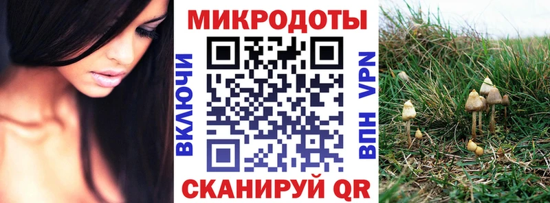 магазин продажи   гидра зеркало  Галлюциногенные грибы Psilocybe  Мичуринск 