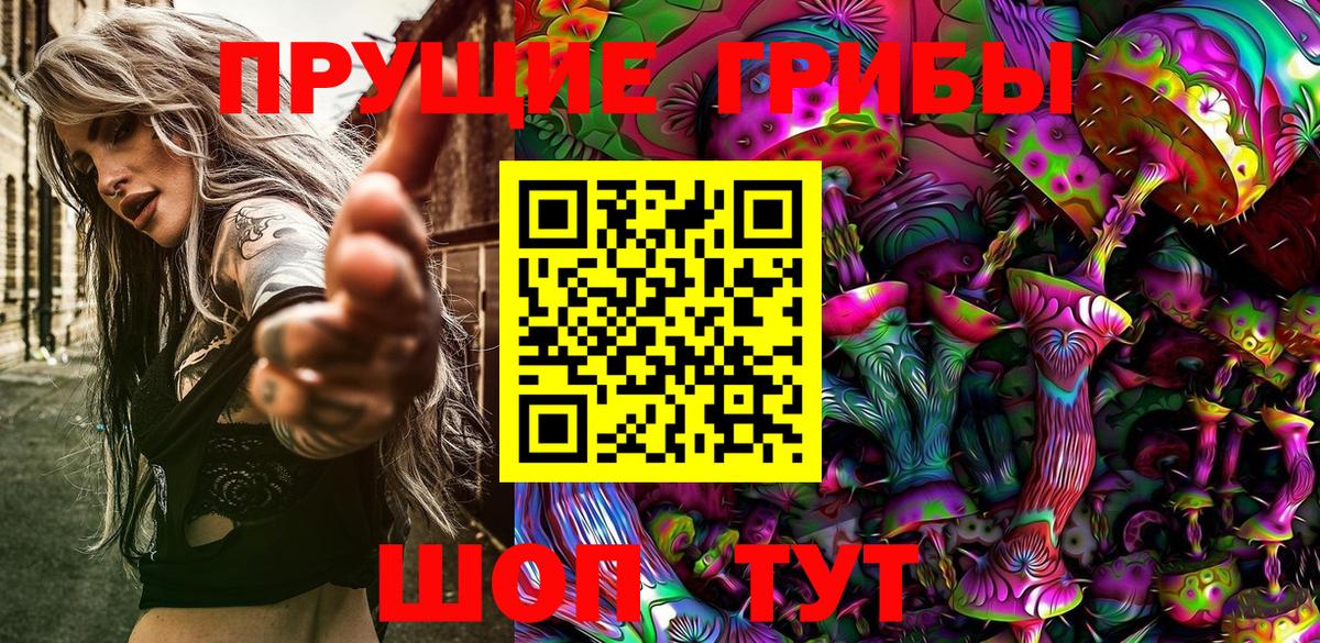 Галлюциногенные грибы GOLDEN TEACHER  закладка  Мичуринск  Галлюциногенные грибы мухоморы 