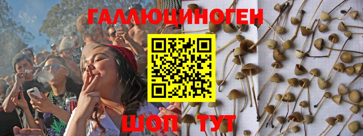Псилоцибиновые грибы Magic Shrooms  Вход с VPN  Мичуринск 