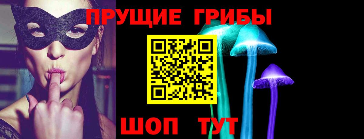 Псилоцибиновые грибы GOLDEN TEACHER Мичуринск